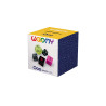Set 5 dés coquins Ooo - Wooomy