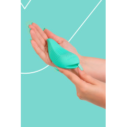Mini vibro rechargeable DelightfulWave vert - FairyGasm