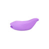 Mini vibro rechargeable DelightfulWave violet - FairyGasm