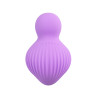 Mini vibro rechargeable EnchantedDesire violet - FairyGasm