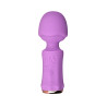 Mini vibro rechargeable SecretFuntasy violet - FairyGasm