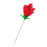 Rose surprise avec petite culotte - Fun Novelties