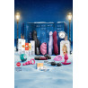 Calendrier de l'Avent Satisfyer Premium 2025
