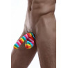 Cache-sexe multicolore