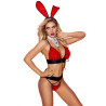 Costume sexy de lapine