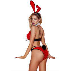 Costume sexy de lapine