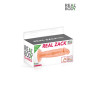 Gode réaliste 16 cm - Real Zack