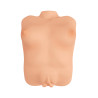 Masturbateur vagin et seins - Shake