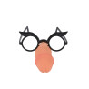 Lunettes pénis