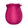 Stimulateur clitoridien Satisfyer Pro 2 Classic Blossom