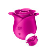 Stimulateur clitoridien Satisfyer Pro 2 Modern Blossom